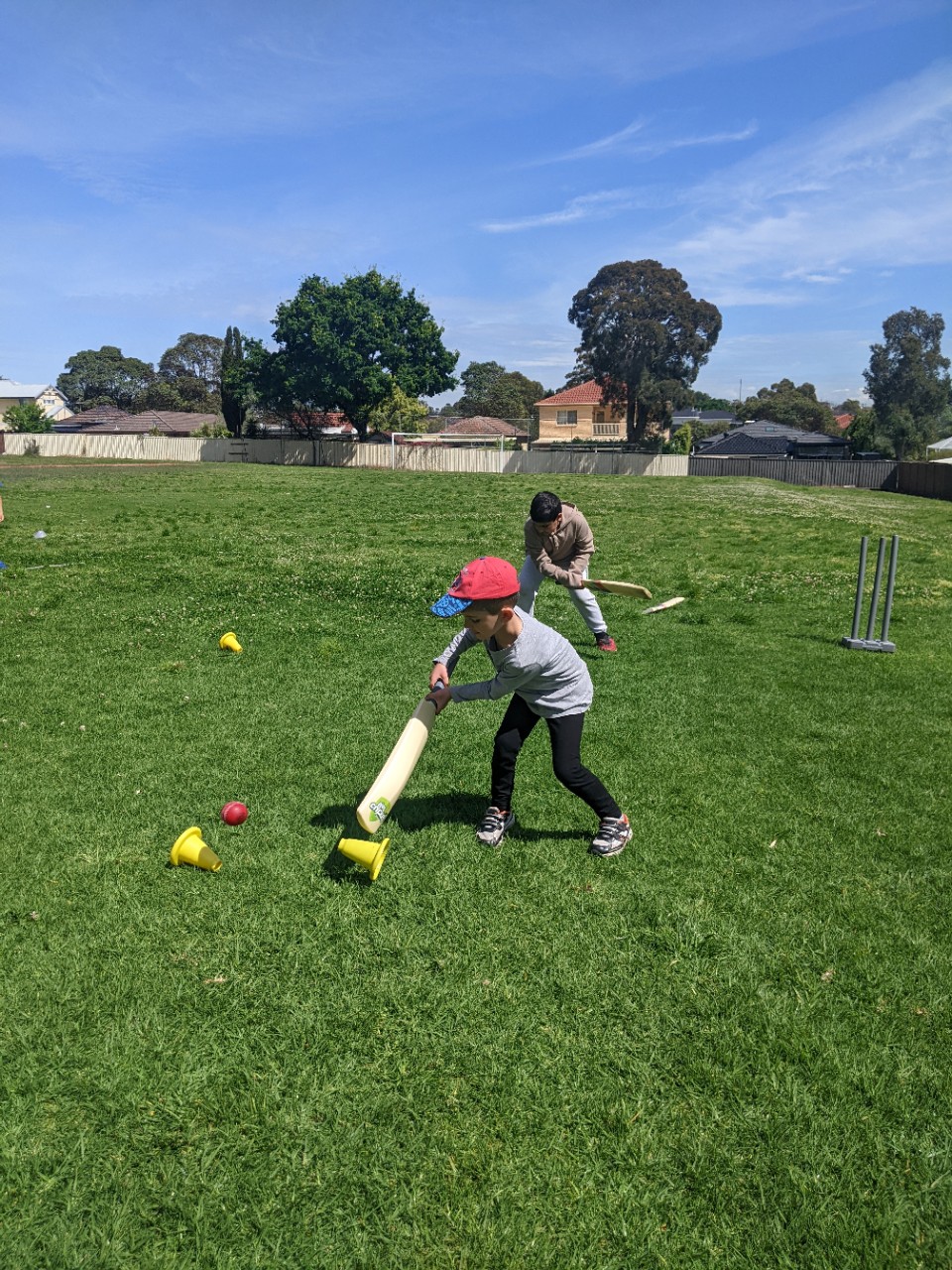 Cricket NSW activities