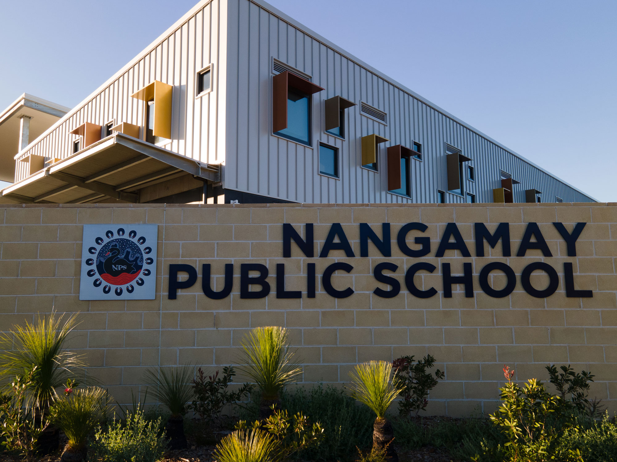 Australian native plants on display at Nangamay Public School