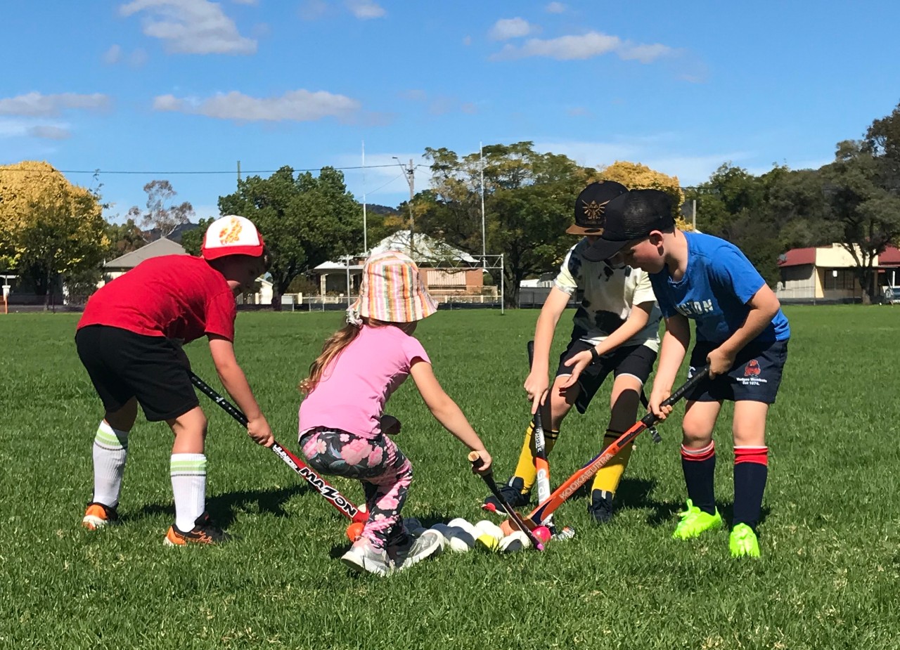 Monaro hockey