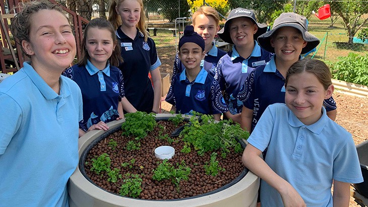 Increasing sustainability across NSW public schools and preschools