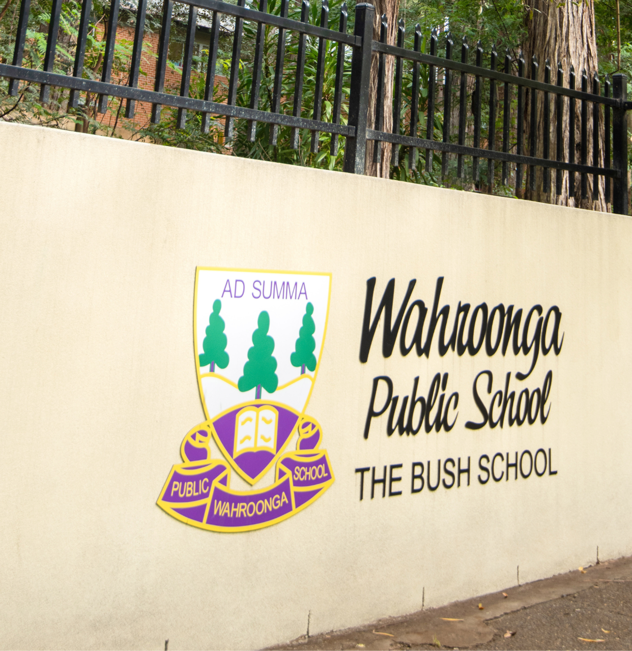 Wahroonga Public School Pool Refurbishment