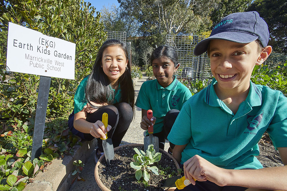 Sustainable Schools Grants