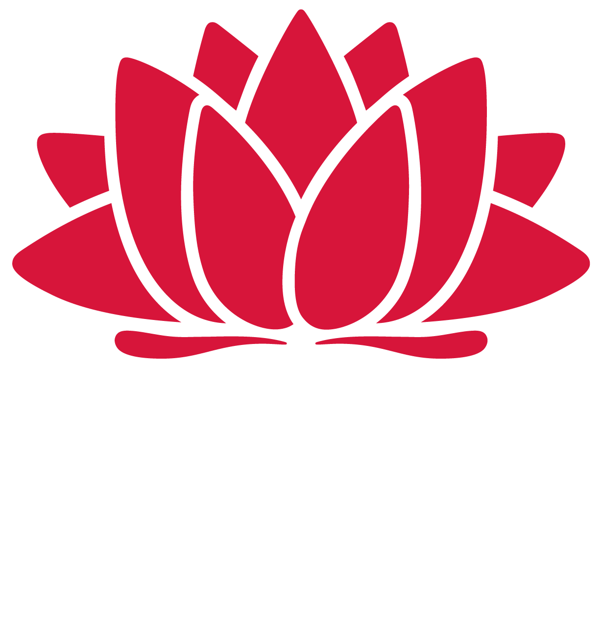 SINSW logo